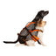 JK9®Multivest/ Swimming Vest