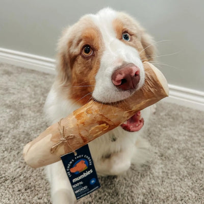 Original Chew