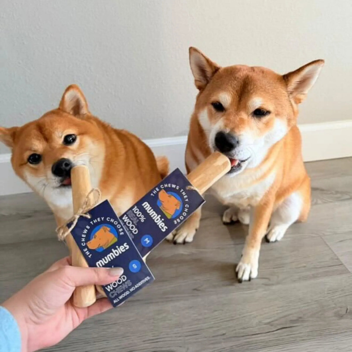 Original Chew
