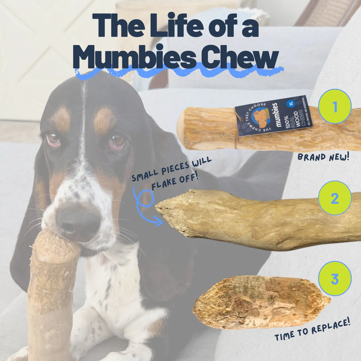 Original Chew