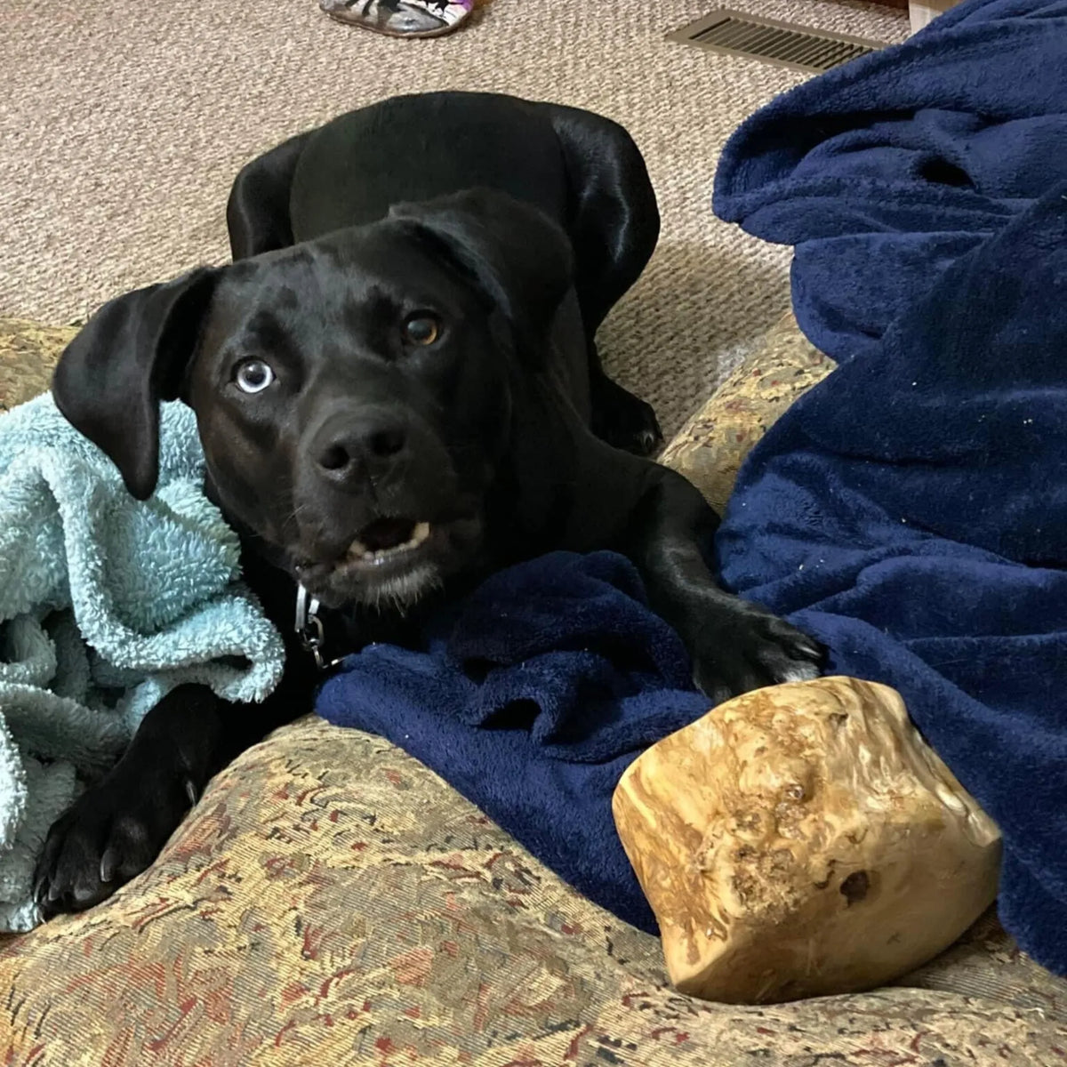 Root Chew