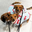 Mushroom Dog Sweater
