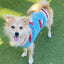 Mushroom Dog Sweater