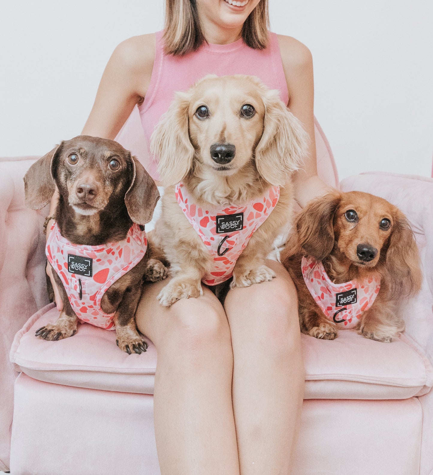 Dog Adjustable Harness - Mykonos
