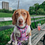 Dog Step-in Harness - Purple Haze