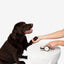 Nandog X Agave Oil for Pets Care Value Kit