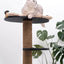 Wooden Cat Tree