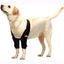 NeoAlly Elbow and Shoulder Brace for Dogs and Cats - Optimal Support for Pet Mobility