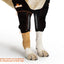 NeoAlly Elbow and Shoulder Brace with Spring Inserts for Dogs and Cats - Enhance Pet Mobility with Optimal Support