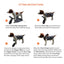 NeoAlly Upgraded Dog Surgical Recovery Vest for Dogs and Cats