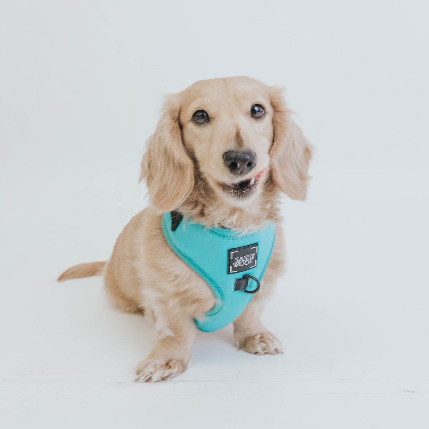 Dog Adjustable Harness - Neon Blue
