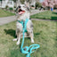 Dog Leash - Neon Blue
