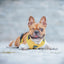 Dog Adjustable Harness - Neon Yellow