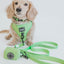 Dog Collar - Neon Green