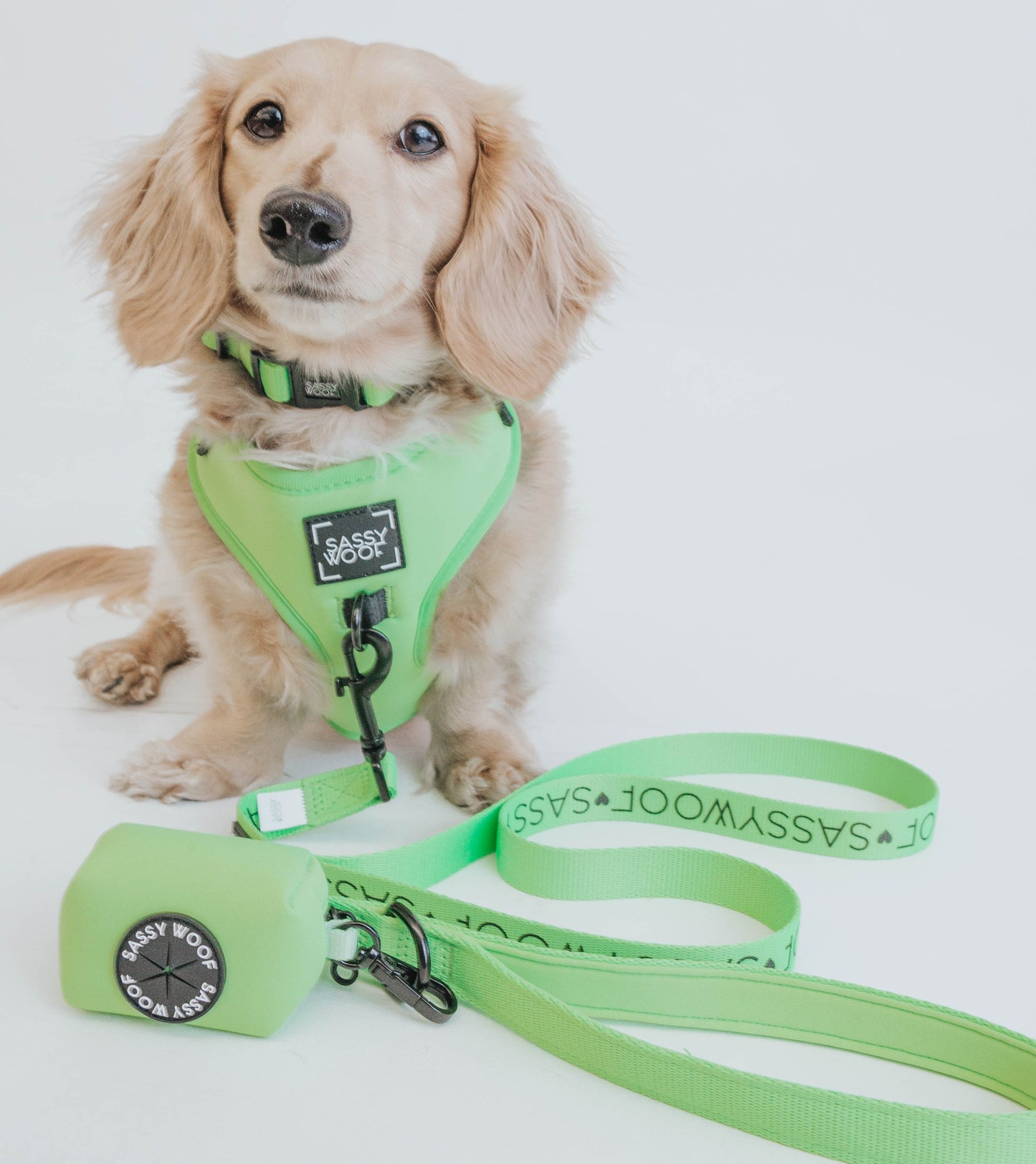 Dog Collar - Neon Green