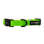 Dog Collar - Neon Green