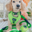 Dog Rope Leash - Neon Green