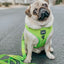 Dog Adjustable Harness - Neon Green
