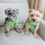 Dog Adjustable Harness - Neon Green
