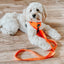Dog Leash - Neon Orange