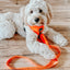 Dog Adjustable Harness - Neon Orange