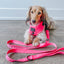 Dog Leash - Neon Pink