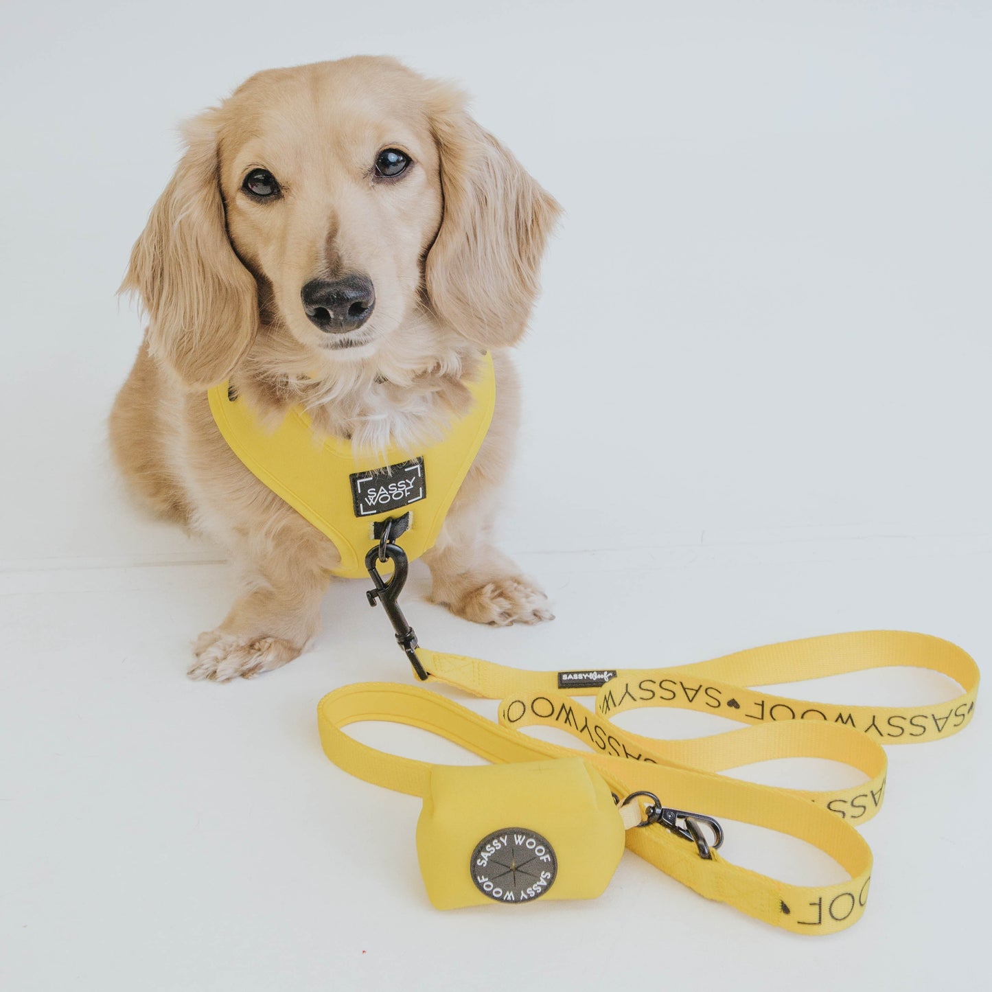 Dog Leash - Neon Yellow