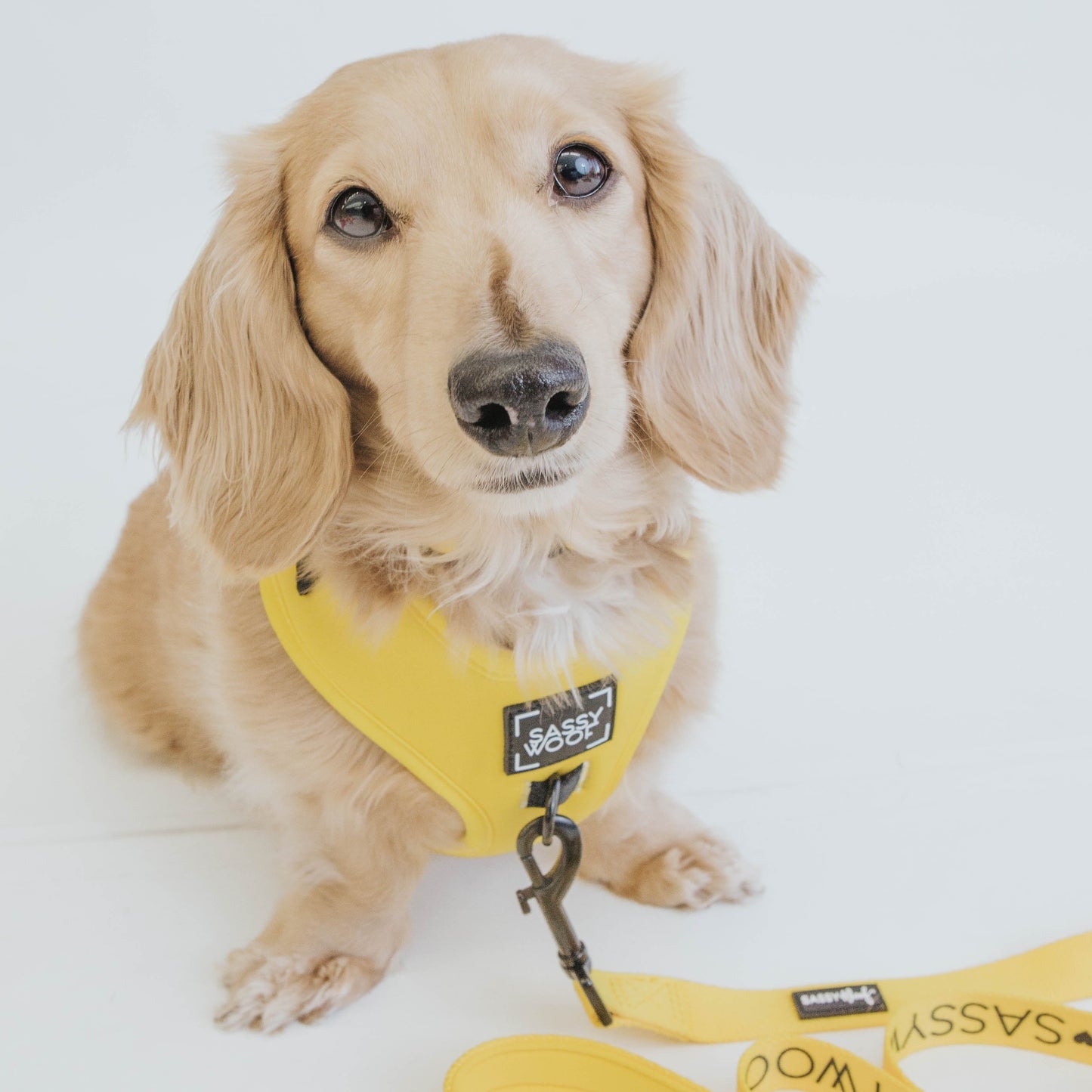 Dog Adjustable Harness - Neon Yellow