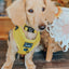 Dog Adjustable Harness - Neon Yellow