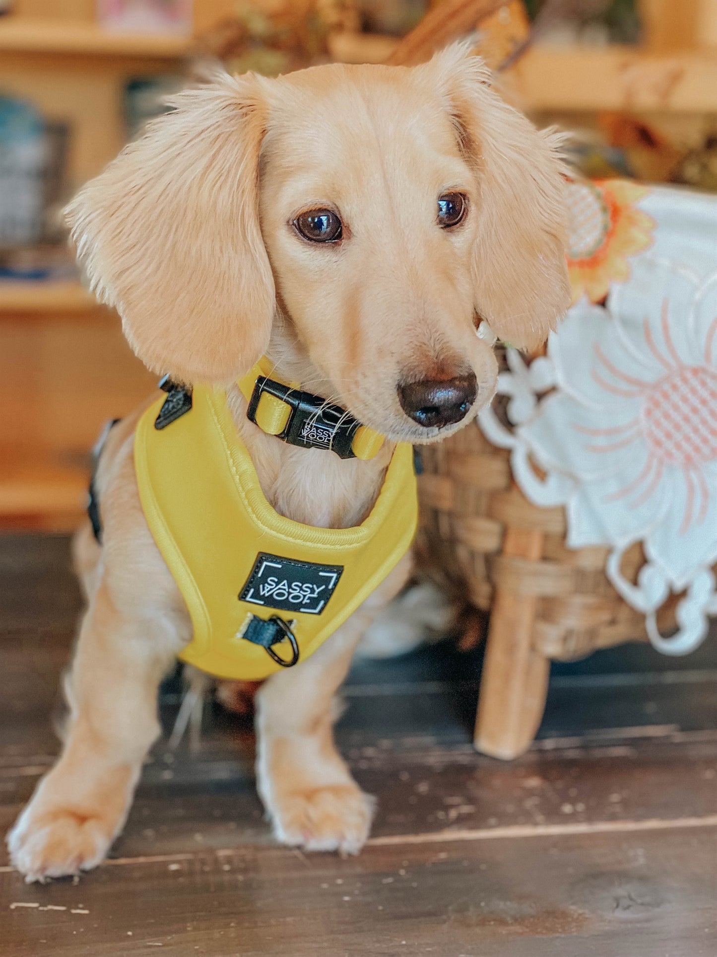 Dog Adjustable Harness - Neon Yellow