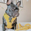 Dog Adjustable Harness - Neon Yellow
