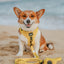 Dog Leash - Neon Yellow