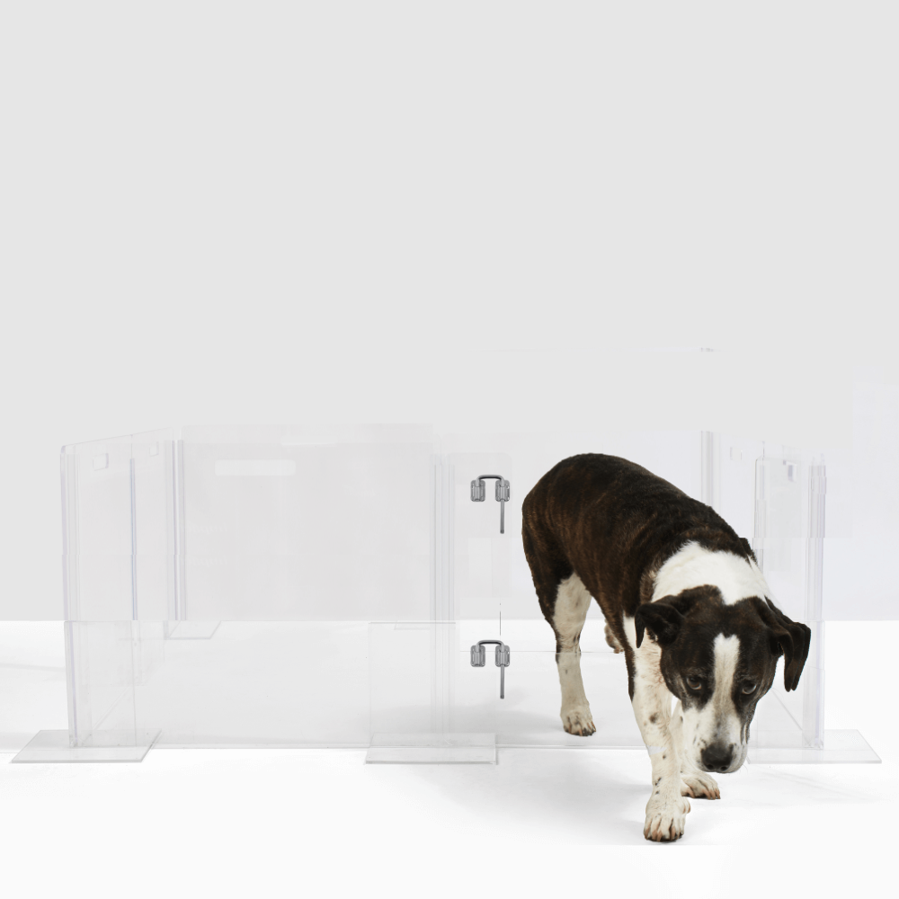 Clear Pet Playpen, 24" High with Door
