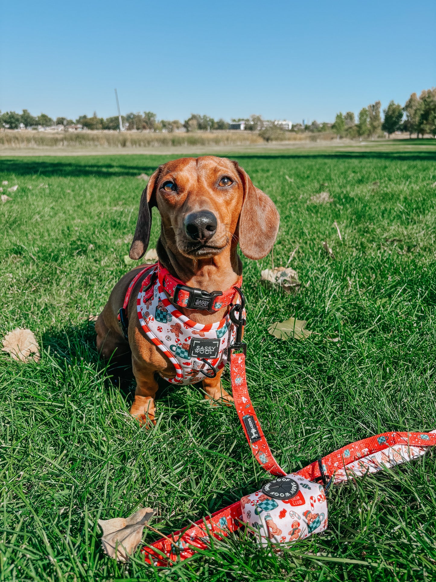 Dog Adjustable Harness - Hot Cocoa Club
