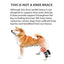 NeoAlly Dog Rear Leg Hock Brace with Safety Reflective Straps for Small Dogs [Short Version]