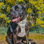 Dog Step-In Harness - Sunflower Dreams