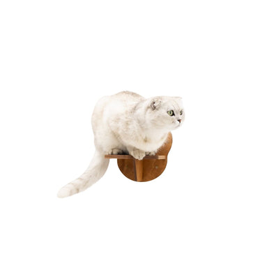 Wooden Cat Step - Oak