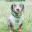 Dog Reversible Harness - Serving Up Sass