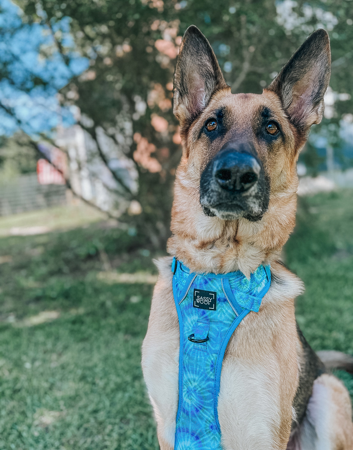 Dog Step-in Harness - Tropical Tides