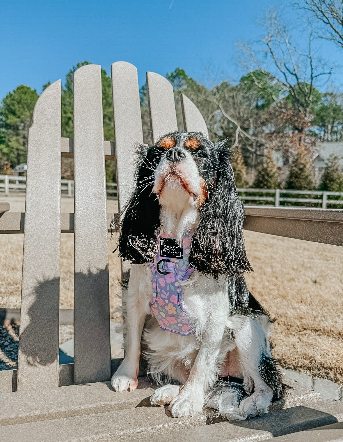 Dog Adjustable Harness - Fleur de Sass
