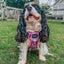 Dog Step-in Harness - Purple Haze