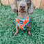 Dog Reversible Harness - One Hot Pupperoni