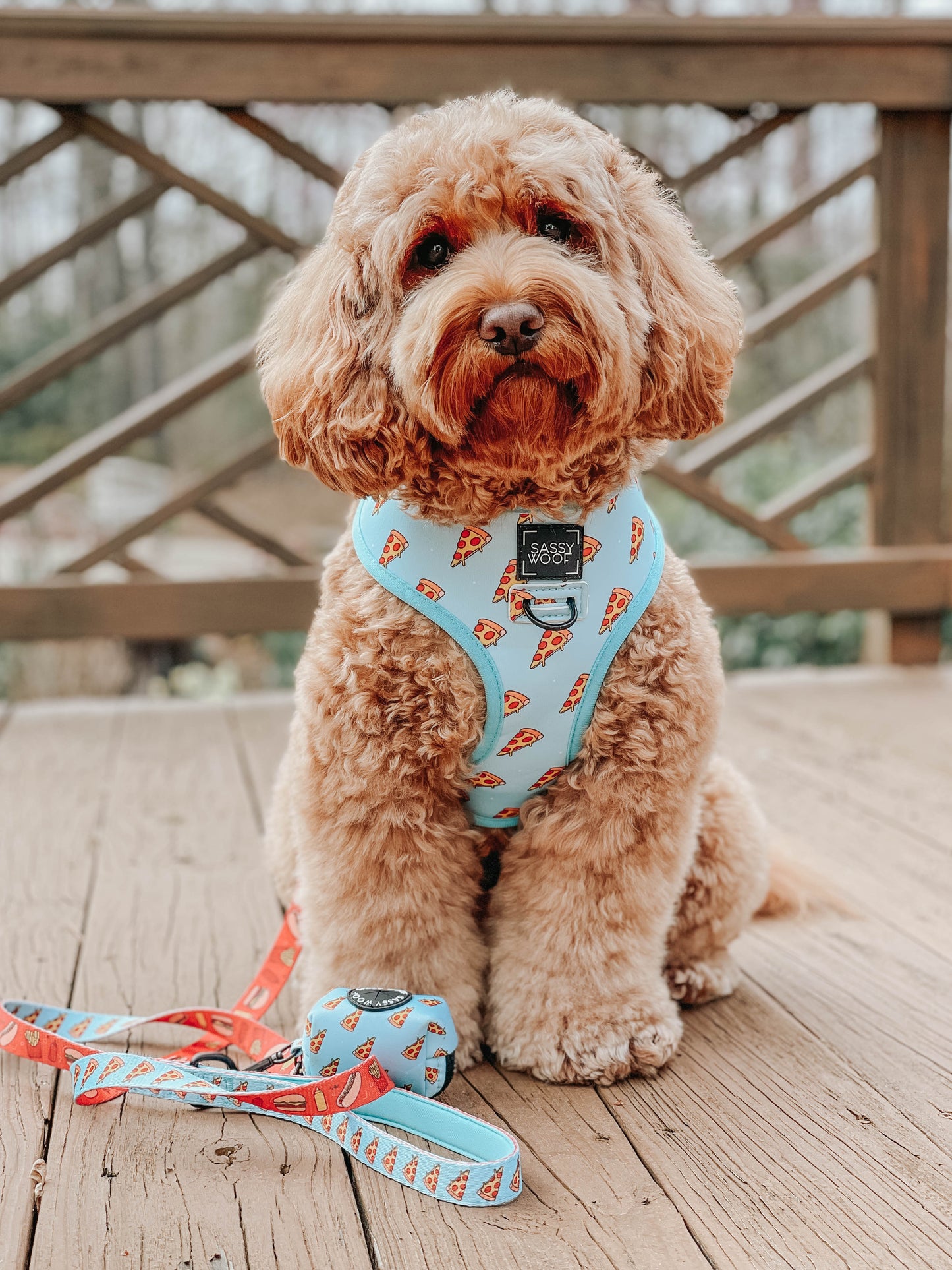 Dog Leash - One Hot Pupperoni