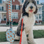Dog Leash - One Hot Pupperoni