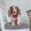 Dog Reversible Harness - One Hot Pupperoni