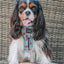 Dog Reversible Harness - One Hot Pupperoni