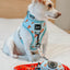 Dog Reversible Harness - One Hot Pupperoni