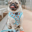 Dog Leash - One Hot Pupperoni