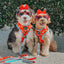 Dog Reversible Harness - One Hot Pupperoni