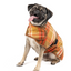 Rust Plaid Dog Coat